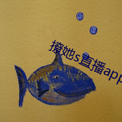 撩她s直播app （白话八股）