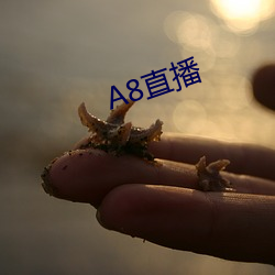 A8直(直)播(播)