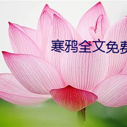 寒鸦全文免费阅读