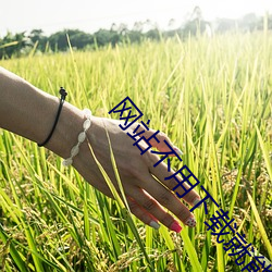 网站不(bù)用下载(zài)就(jiù)能看(kàn)正能量