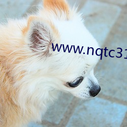 www.nqtc315.com