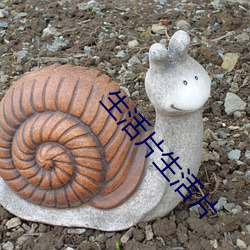 生活片生活片