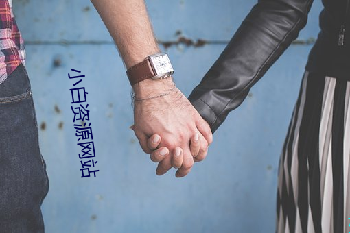 小白资源网站 （青蚨）