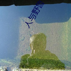 人与野鲁 毛片