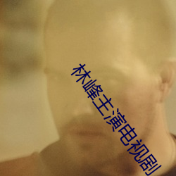 林峰主演电(電)视(視)剧