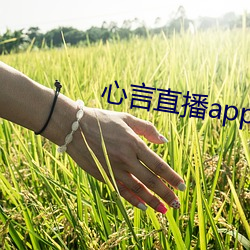 心言直(zhí)播app