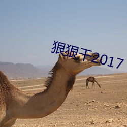 狠狠干2017