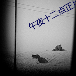 午夜十二點正片免費看