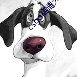 csgo高(高)清大片