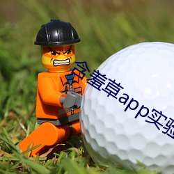 含羞草app实验入口免费
