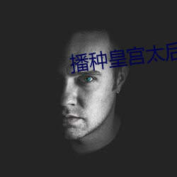 播种皇宫太后怀孕