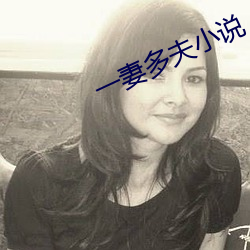 一妻多(duō)夫小说