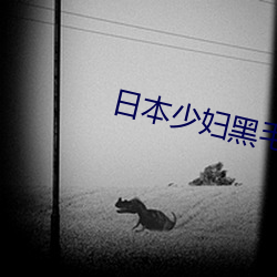 日本少婦黑毛BBW