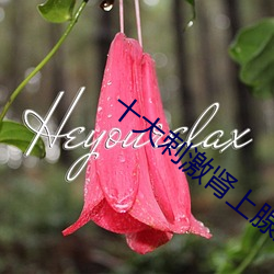 十(shí)大刺激肾上腺(xiàn)素的电影