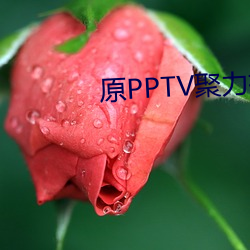 原PPTV聚力视(視)频