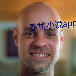 蜜桃小(小)说app阅币破解(解)