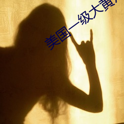 美国一级大黄片