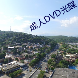 成人DVD光碟