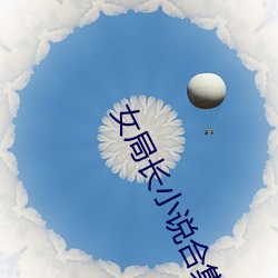 女局长小说合集在线阅读