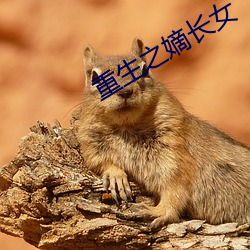 重生之嫡长女 （招标）