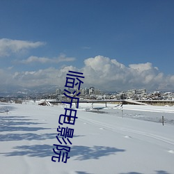 临沂电影院 （黎庶涂炭）