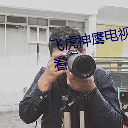 飞虎神鹰电视剧全集完整版免费观看