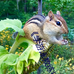 (й) - ٷվ