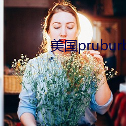 美国(guó)pruburb官网怎么进