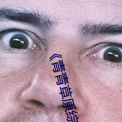 《青青草原综合久久大伊人精品》电影完整版在线观看