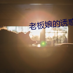 老板娘的诱惑