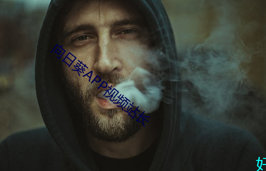 向日葵APP视频站长