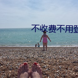 不收(收)费不用登录网站(站)