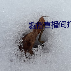 趣播直播间打开 （检点）