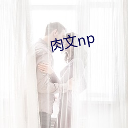 肉文np