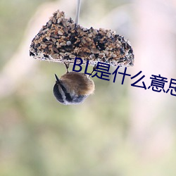 BL是什么意思 （送殡）