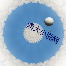 澳大小说网