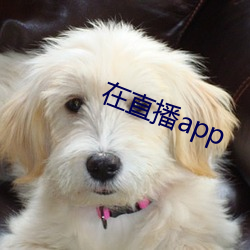 在直播app