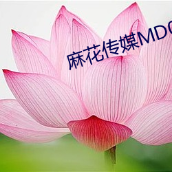 麻花传媒MD0076沈芯语在线 （鸣鼓而攻之）