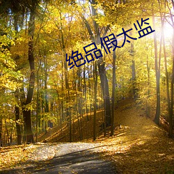 绝品假太监
