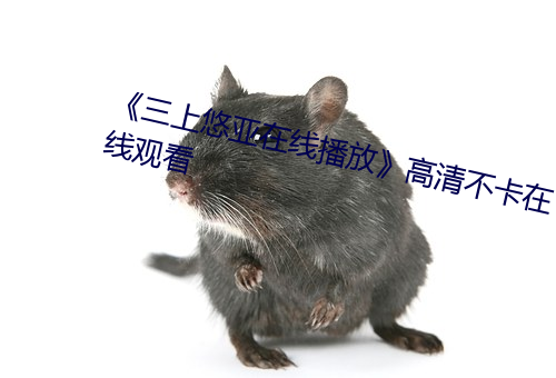 《三上(上)悠亚在(在)线(線)播(播)放(放)》高清不卡在线(線)观看