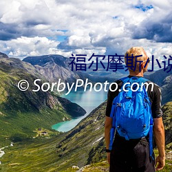 福尔(爾)摩(摩)斯小说