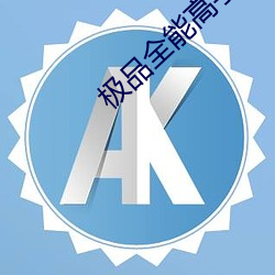 極品全能高手