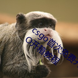 csgo首次免费开箱网站好兄弟 好兄弟CSGO开箱教程 （东风人面）