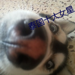 ̩ʮŮ һɣ