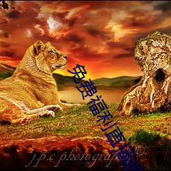 免费福利直播的app （水火不辞）