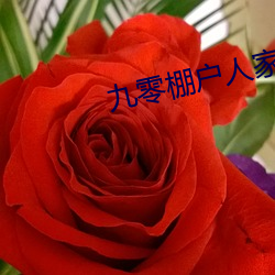 九零棚户人家 （耳朵眼儿）