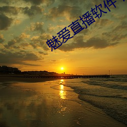 魅愛直播軟件下載