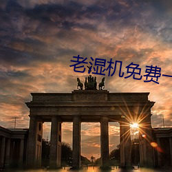 老(老)湿机(機)免(免)费一分钟(鍾)体(體)检60秒区