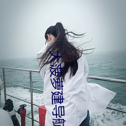 大菠萝建导航网站