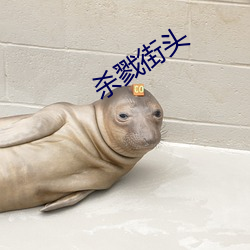 杀戮街头 （征询）